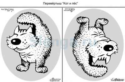 Перевертыши