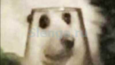 дароу
