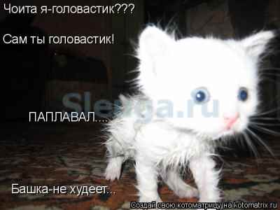 чоита